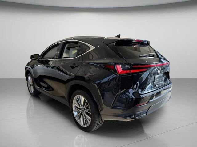 Used 2025 Lexus NX 350h AWD w/ Accessory Package (2T) image 6