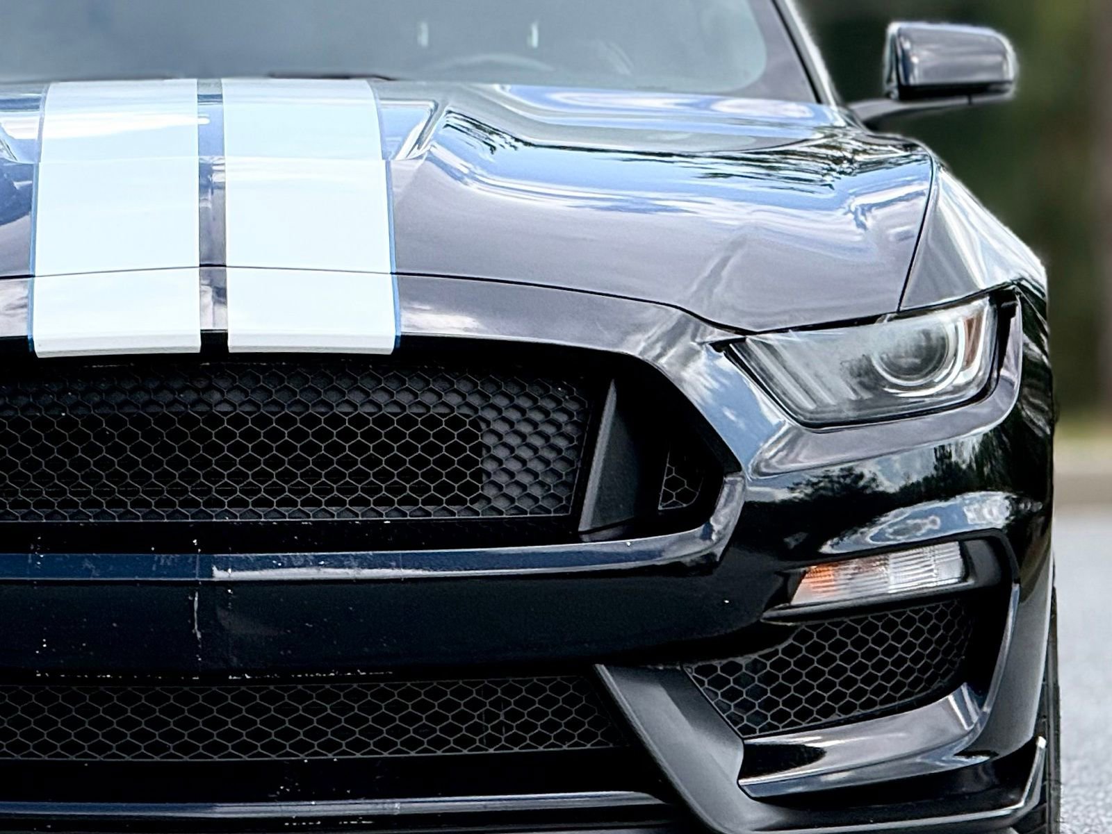 Used 2016 Ford Mustang Shelby GT350 w/ Technology Package image 14