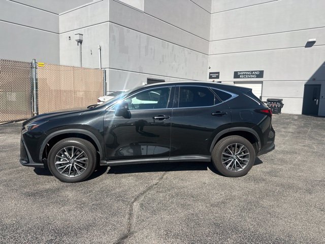 Certified 2024 Lexus NX 350h AWD w/ Vision Package image 6