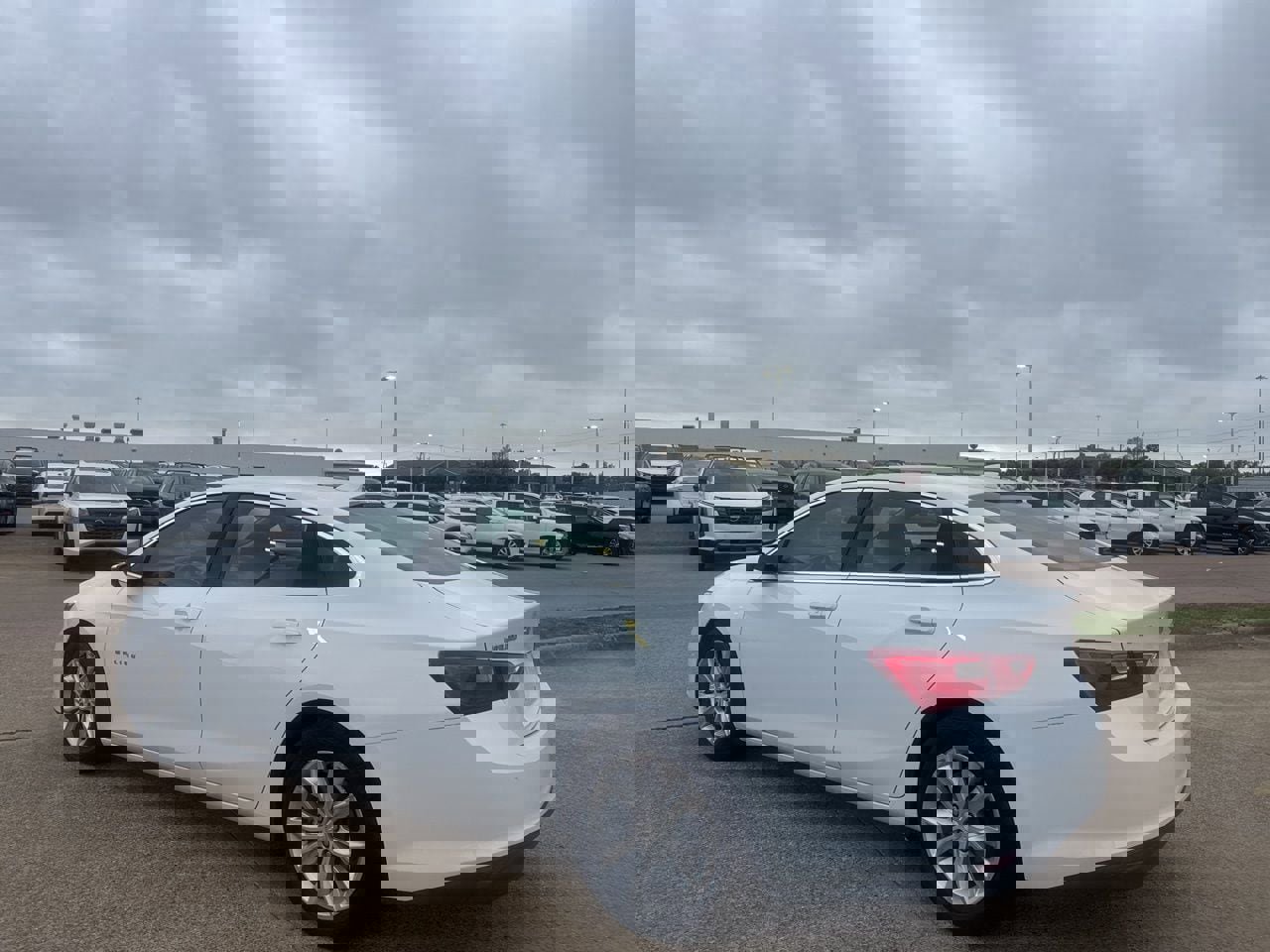 Used 2024 Chevrolet Malibu LT image 13