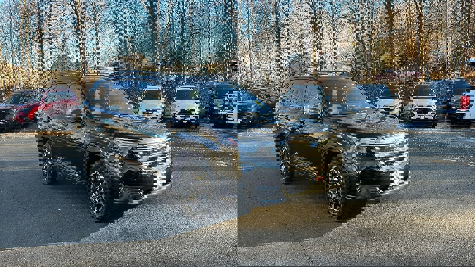 Certified 2025 Subaru Forester Limited image 3