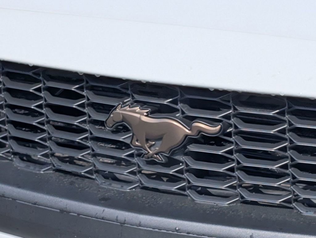 New 2026 Ford Mustang Coupe image 11