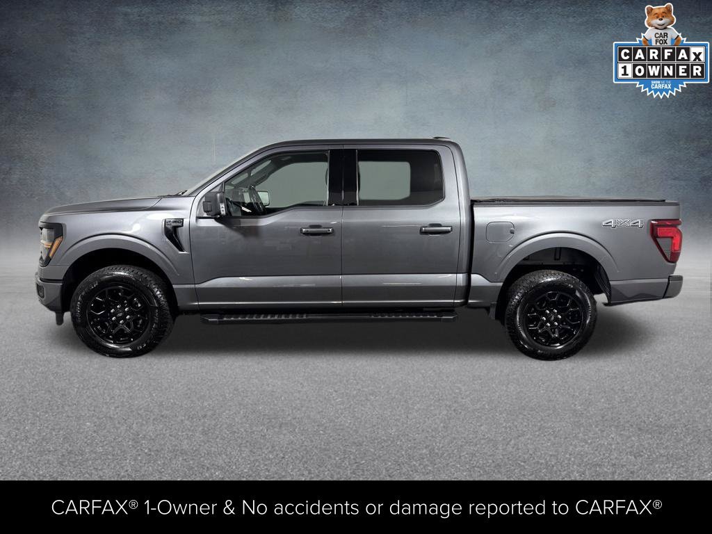 Used 2025 Ford F150 XLT w/ Equipment Group 302A MID AWD/4WD image 3
