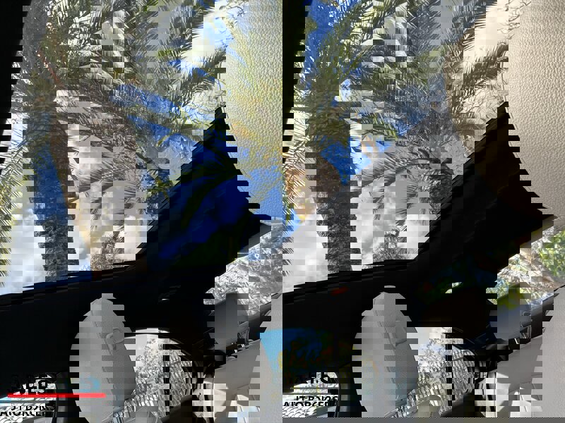 Used 2019 Mercedes-Benz A 220 image 23