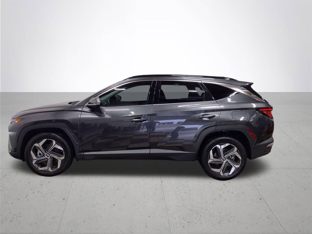 Certified 2022 Hyundai Tucson Limited image 12