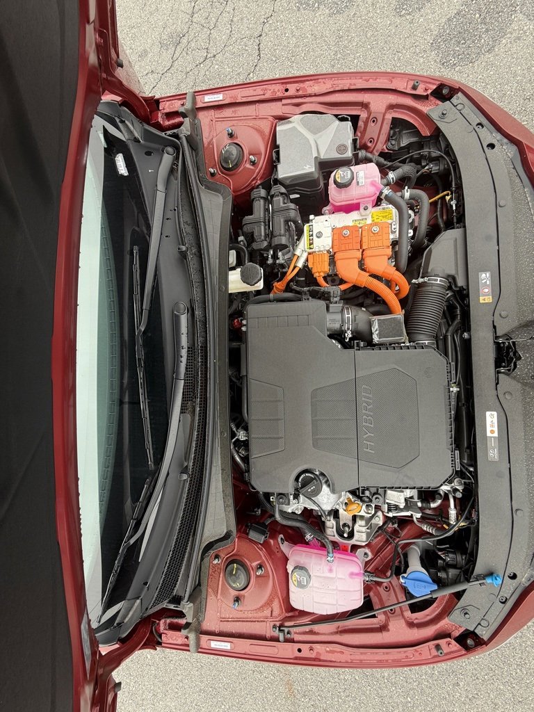 New 2025 Hyundai Elantra Limited image 43