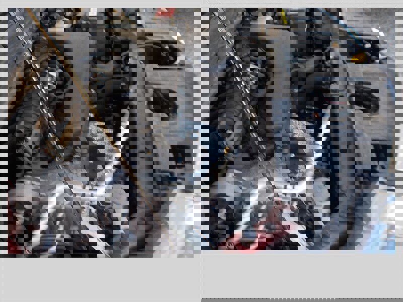 Used 2019 Nissan Rogue SV w/ Premium Package image 14