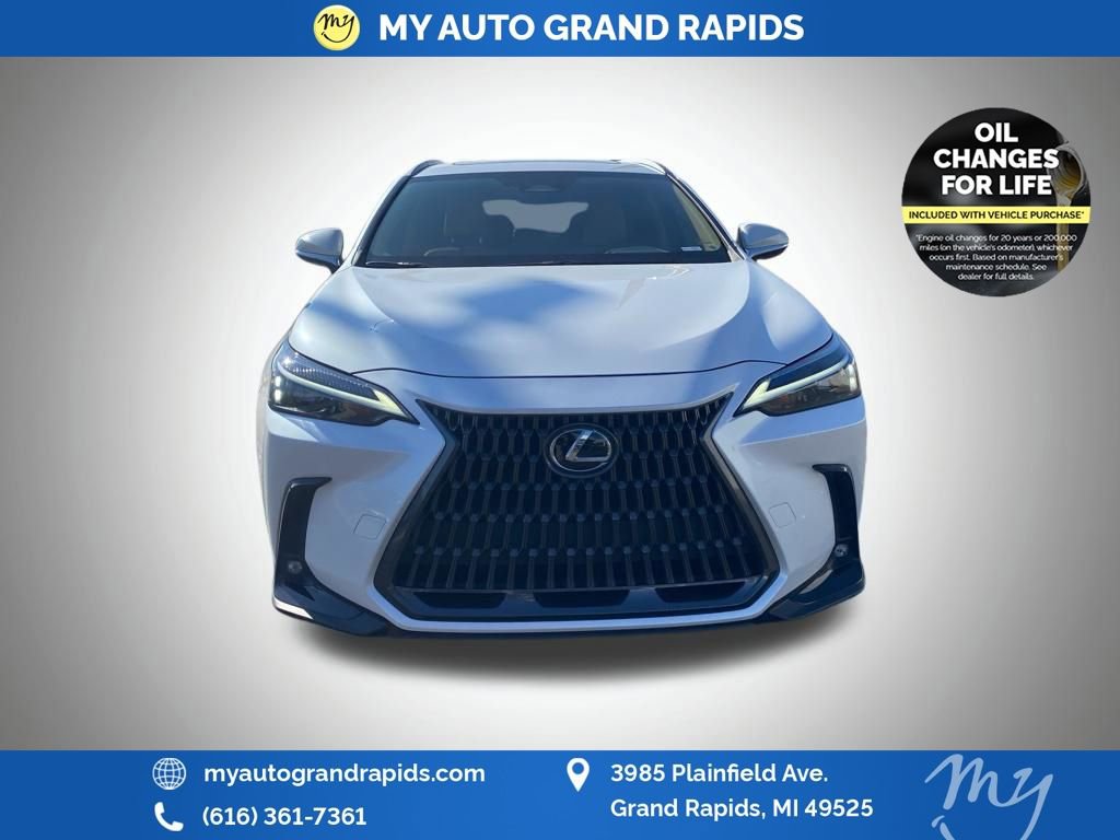 Used 2024 Lexus NX 350 AWD w/ Cold Area Package image 3