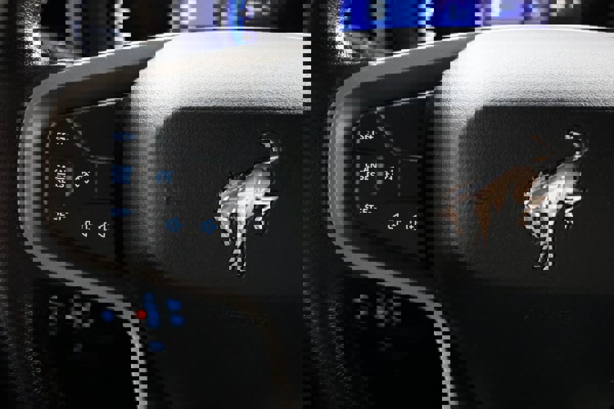 Used 2022 Ford Bronco Black Diamond image 22