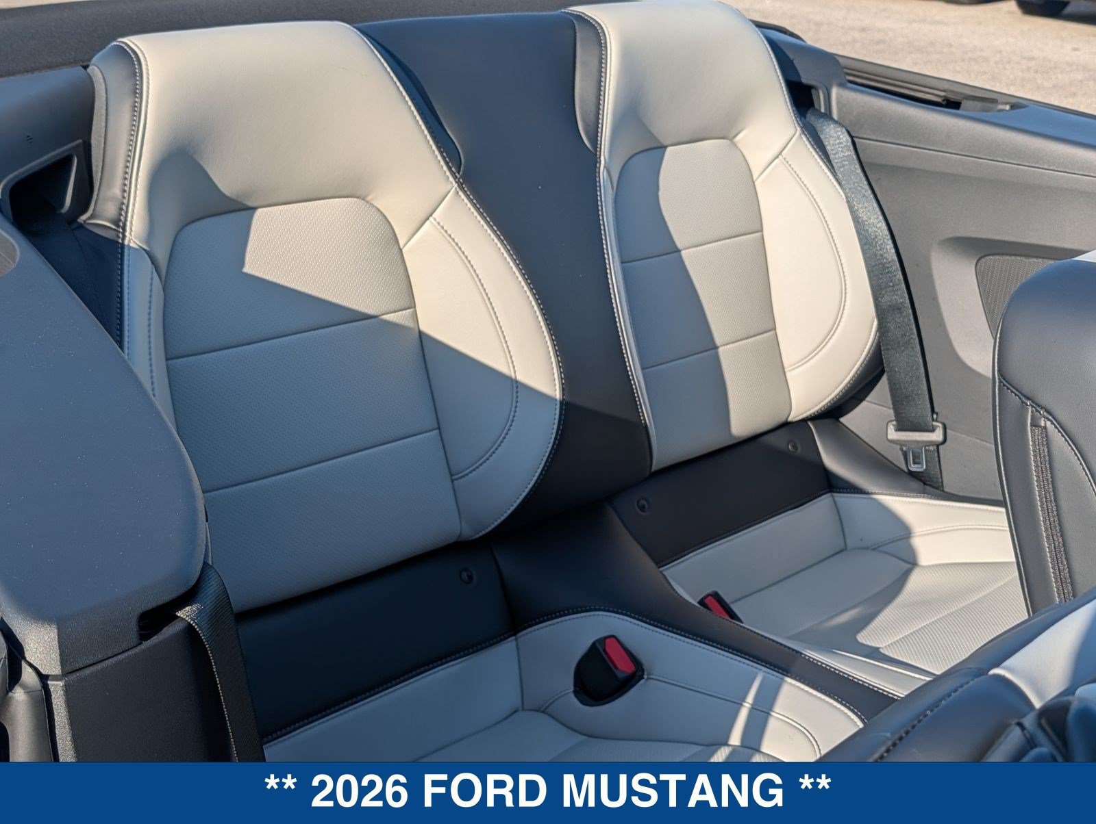 New 2026 Ford Mustang Premium w/ Mustang Nite Pony Package RWD image 17