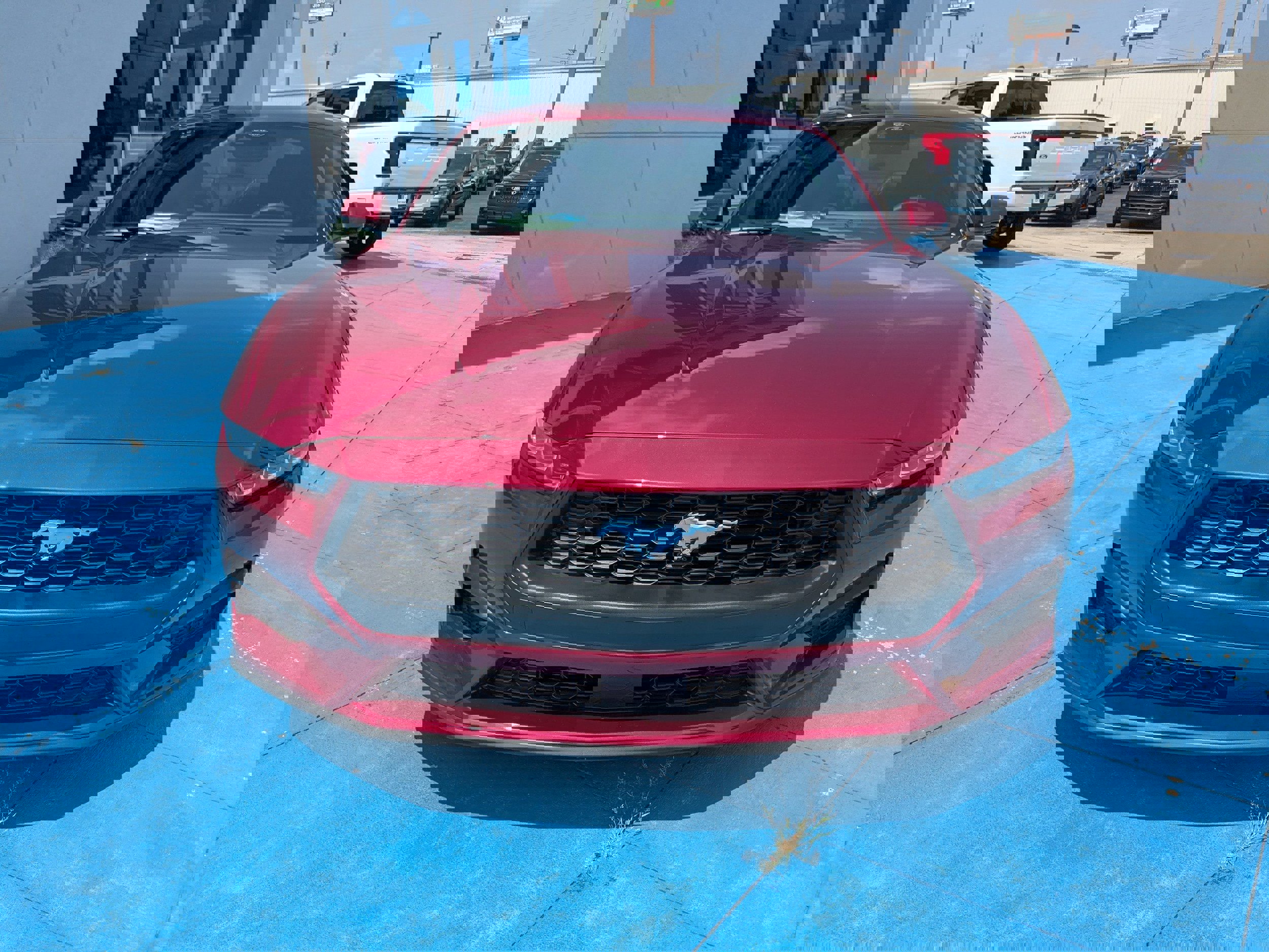 New 2025 Ford Mustang Premium image 8