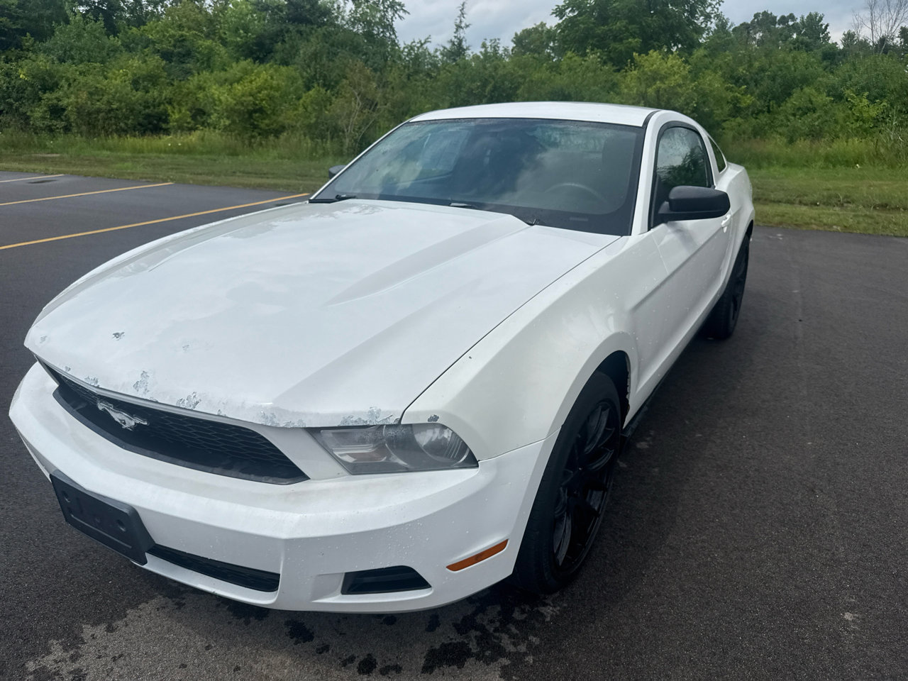 Used 2010 Ford Mustang Coupe image 1