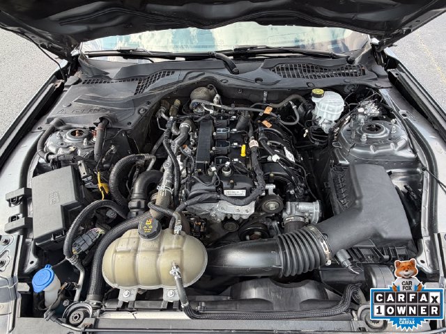 Used 2022 Ford Mustang Coupe RWD image 27