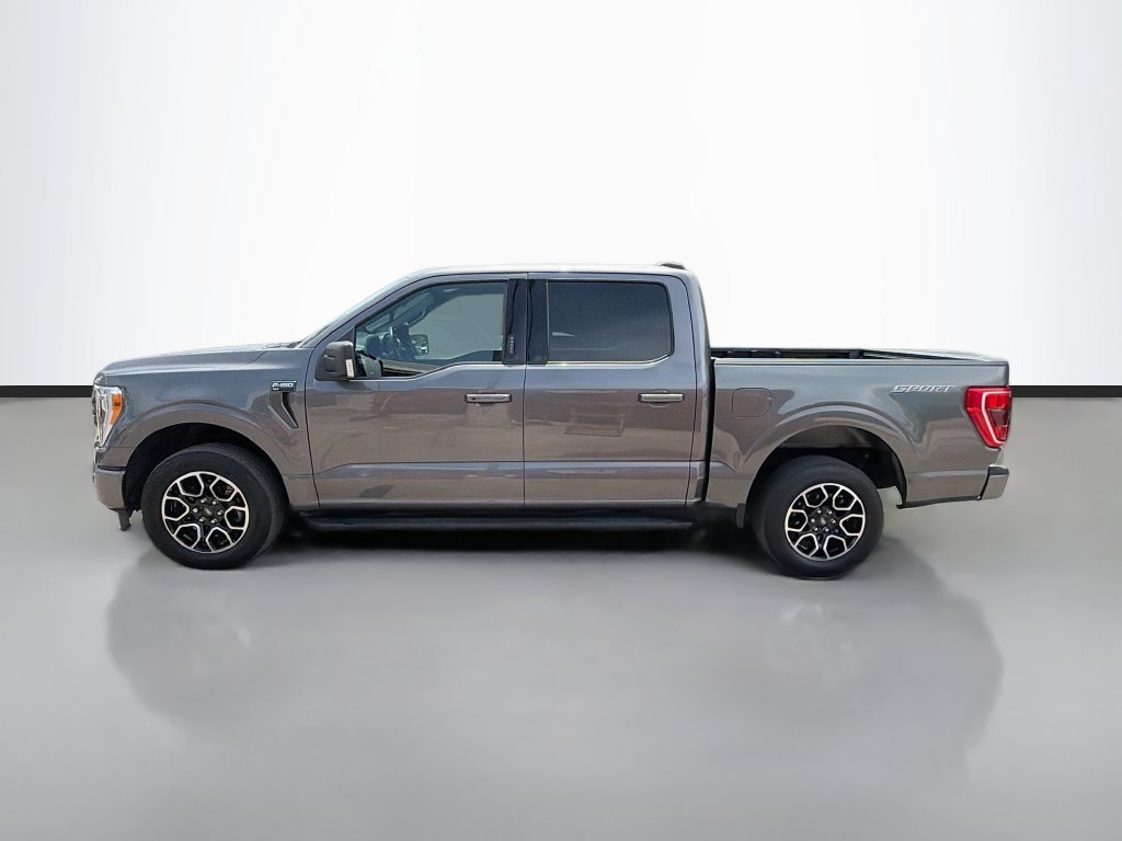 Used 2023 Ford F150 XLT w/ Equipment Group 302A High RWD image 4