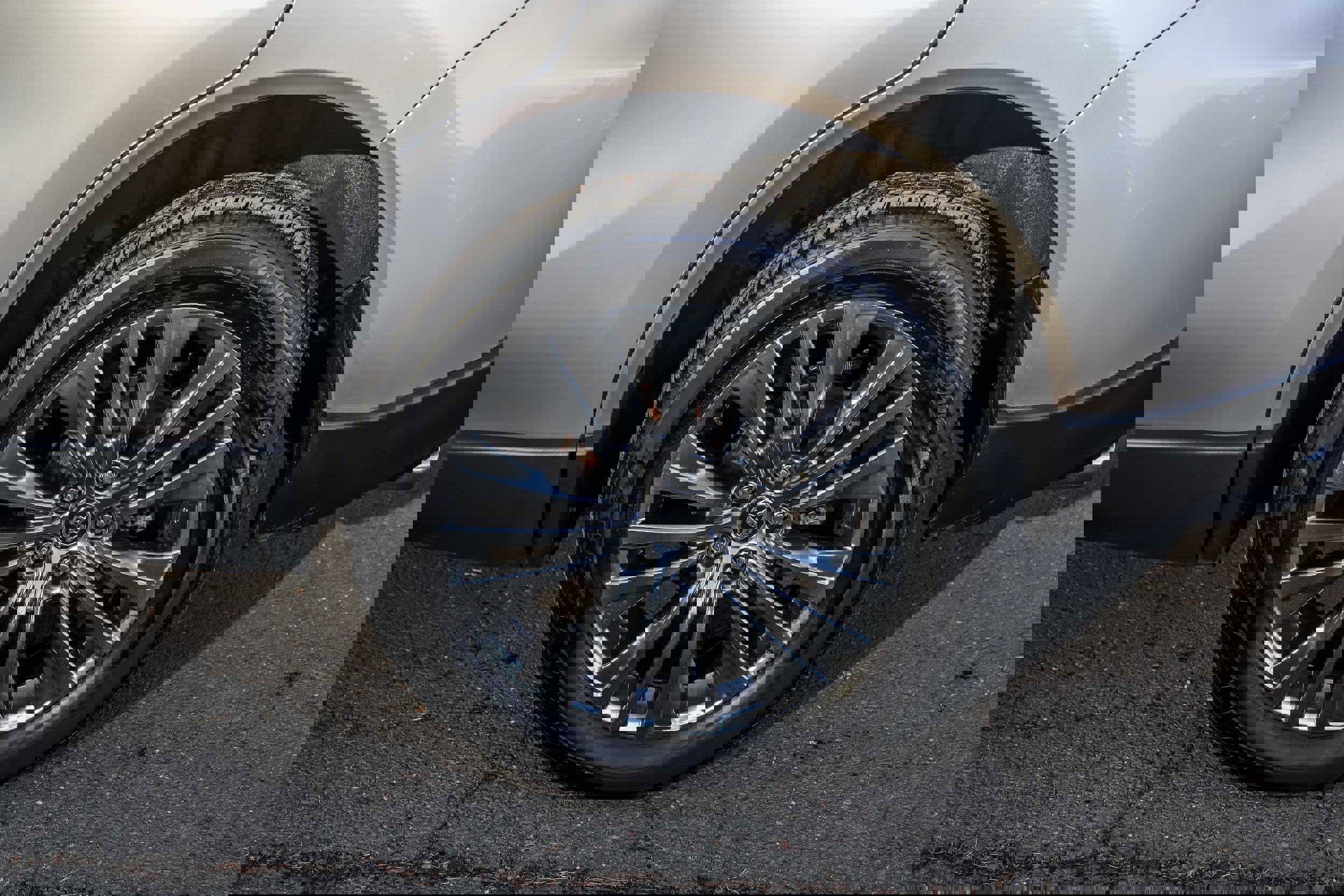 Certified 2024 Toyota Venza Limited image 13