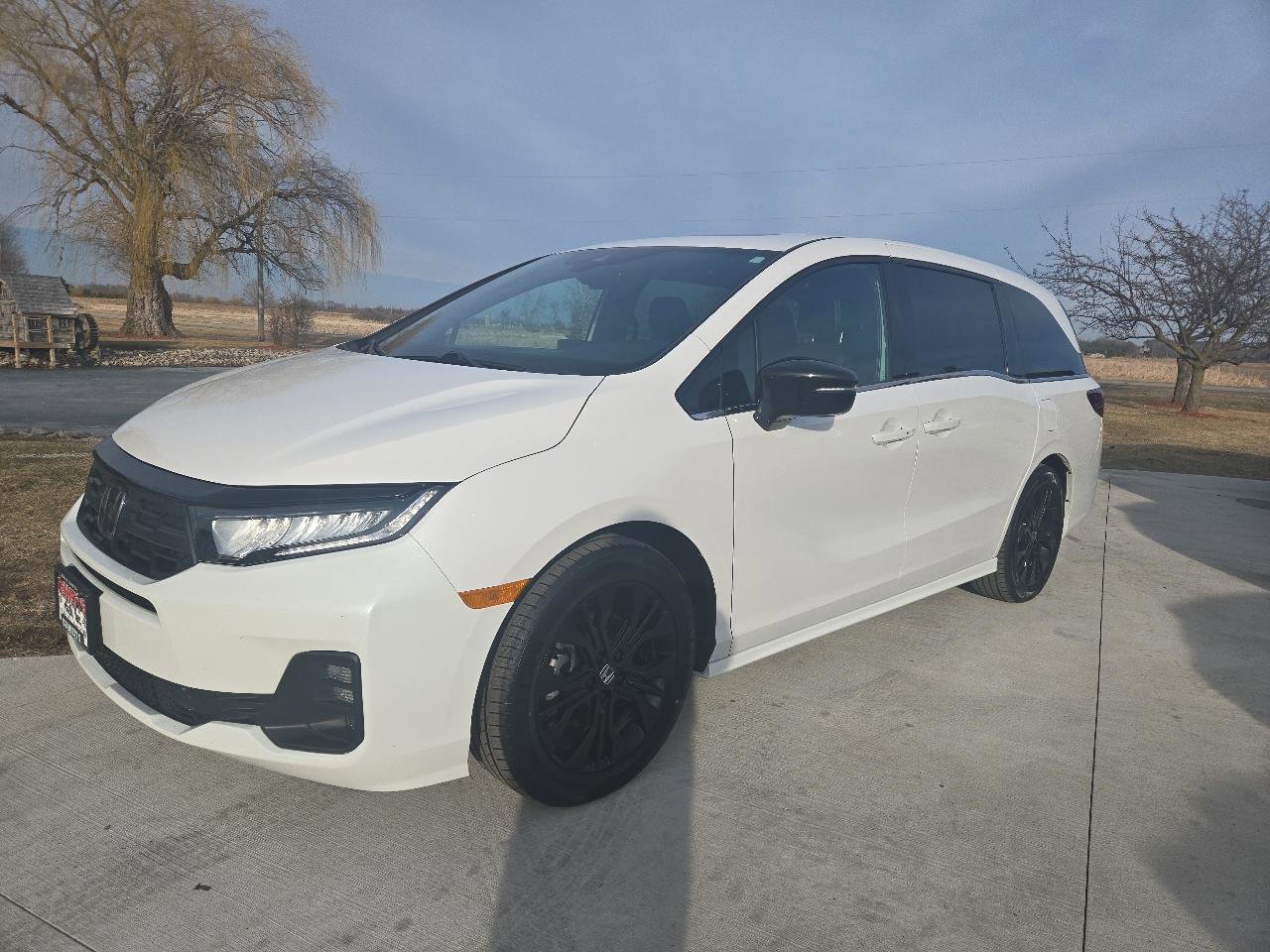 Used 2025 Honda Odyssey Sport-L image 1