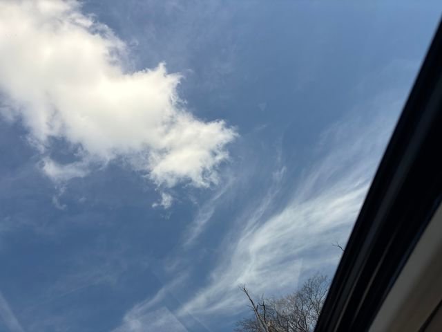 Certified 2024 Honda Civic Touring image 15