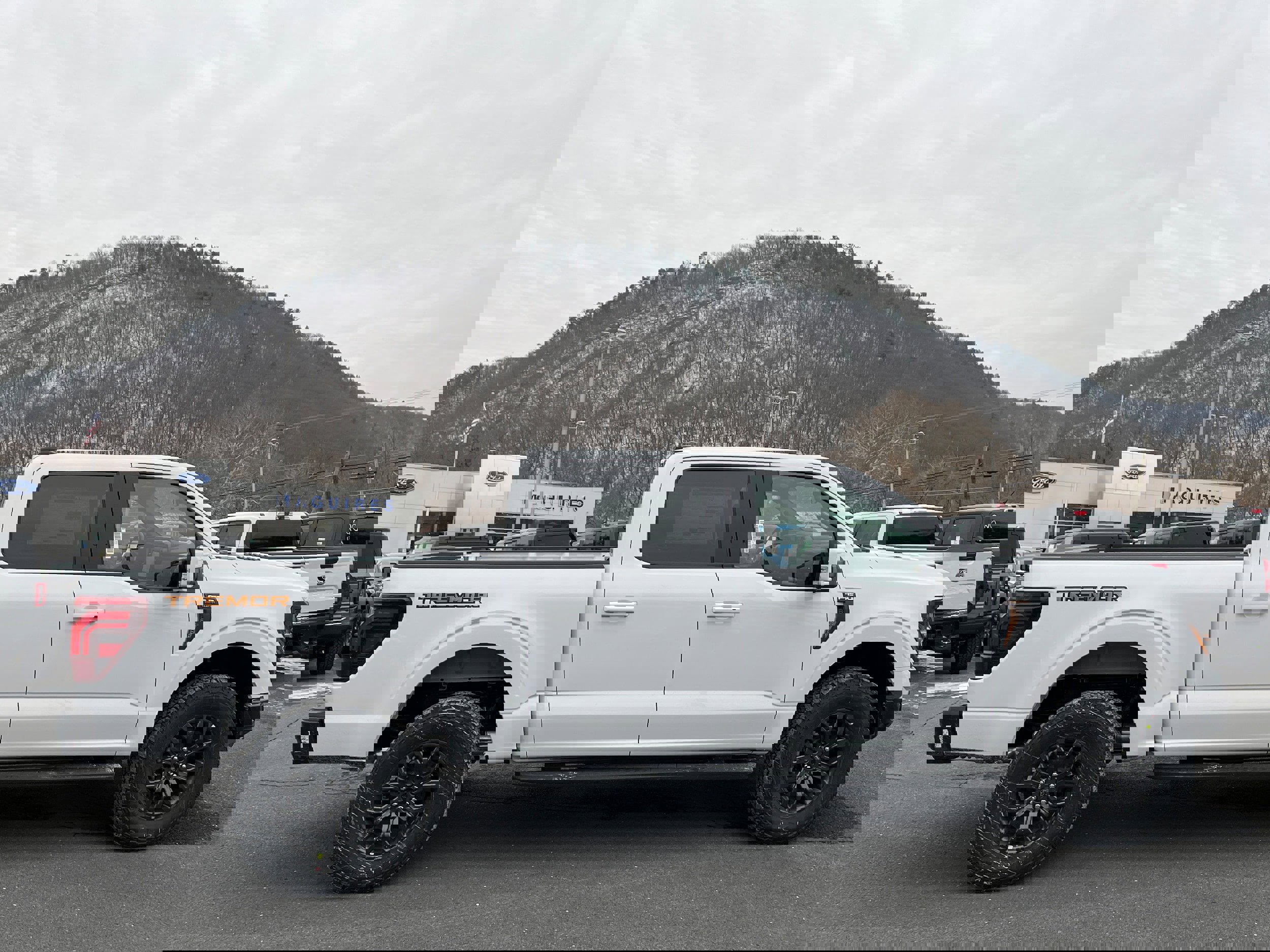 New 2025 Ford F150 Tremor w/ Equipment Group 402A High image 4