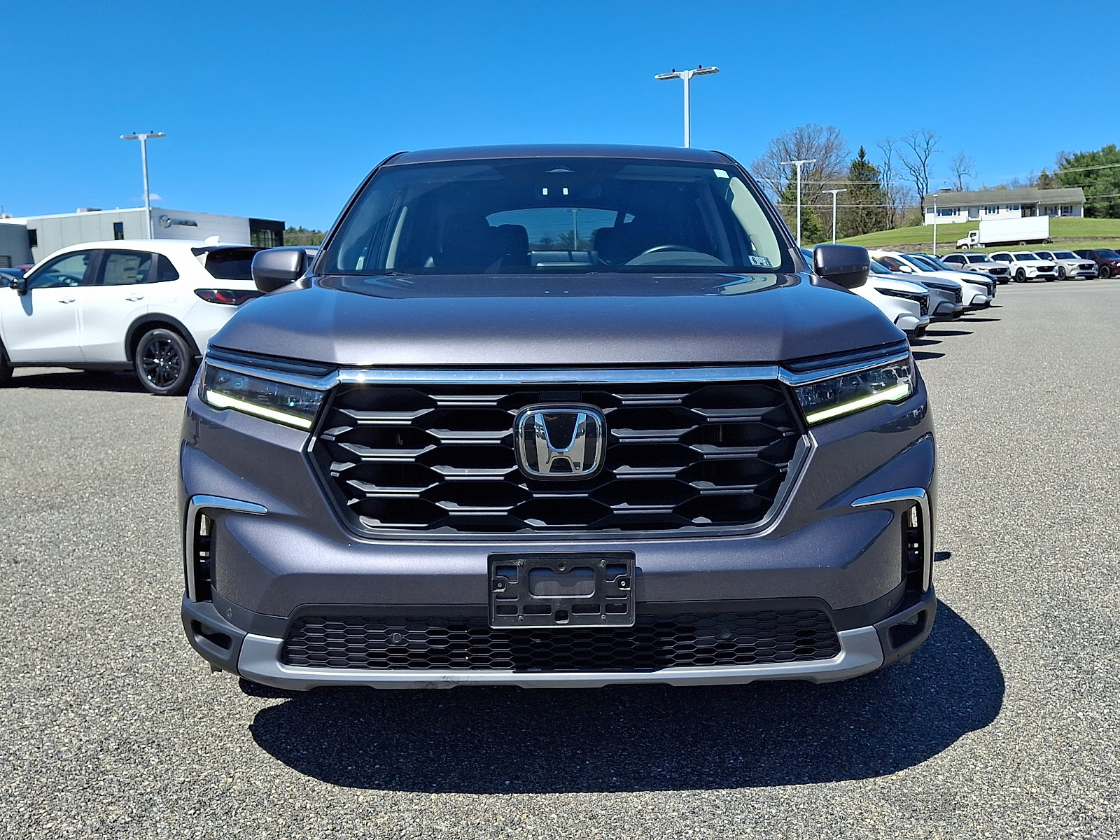 Used 2024 Honda Pilot EX-L image 2