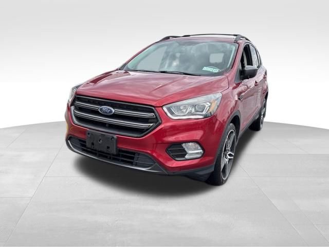 Used 2019 Ford Escape SEL image 1