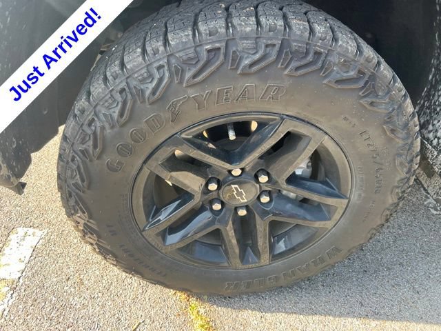 Used 2024 Chevrolet Silverado 1500 Custom Trail Boss w/ Realtree Special Edition AWD/4WD image 12