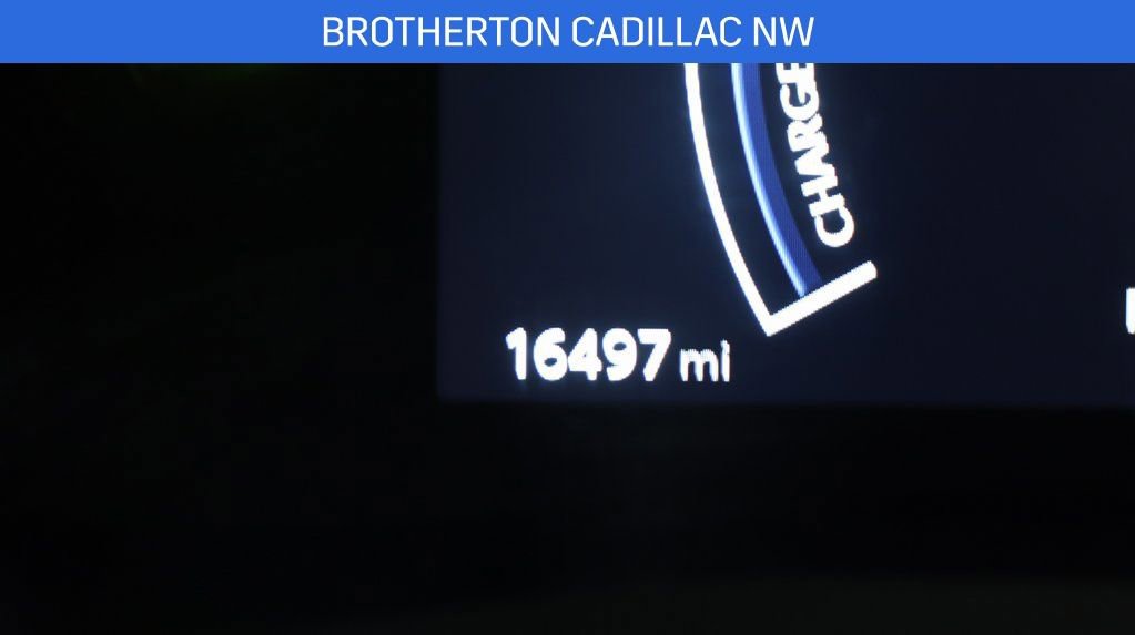 Used 2025 Toyota Camry SE image 19