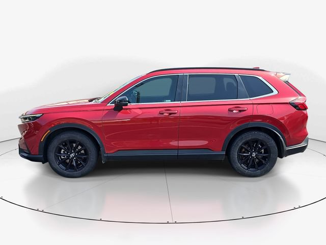 Used 2024 Honda CR-V Sport image 6