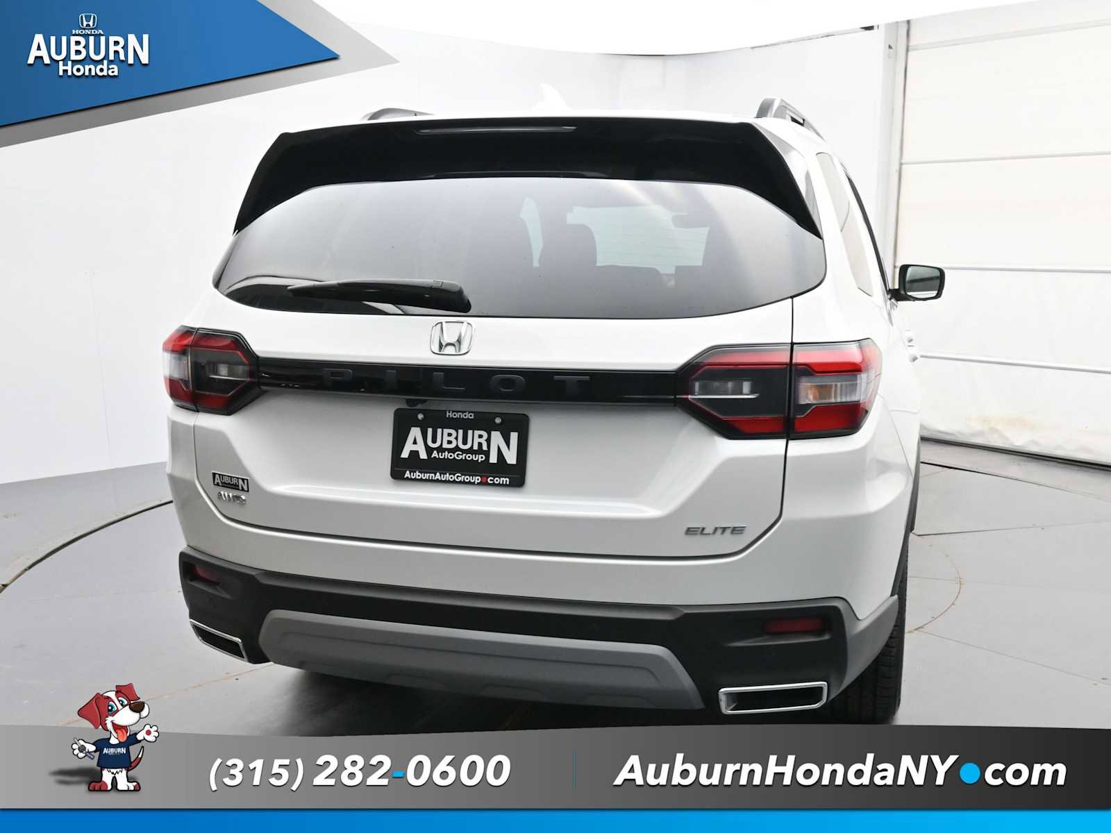 Used 2023 Honda Pilot Elite image 4