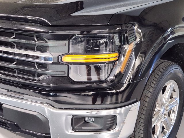 Used 2025 Ford F150 XLT w/ Equipment Group 301A Standard RWD image 11