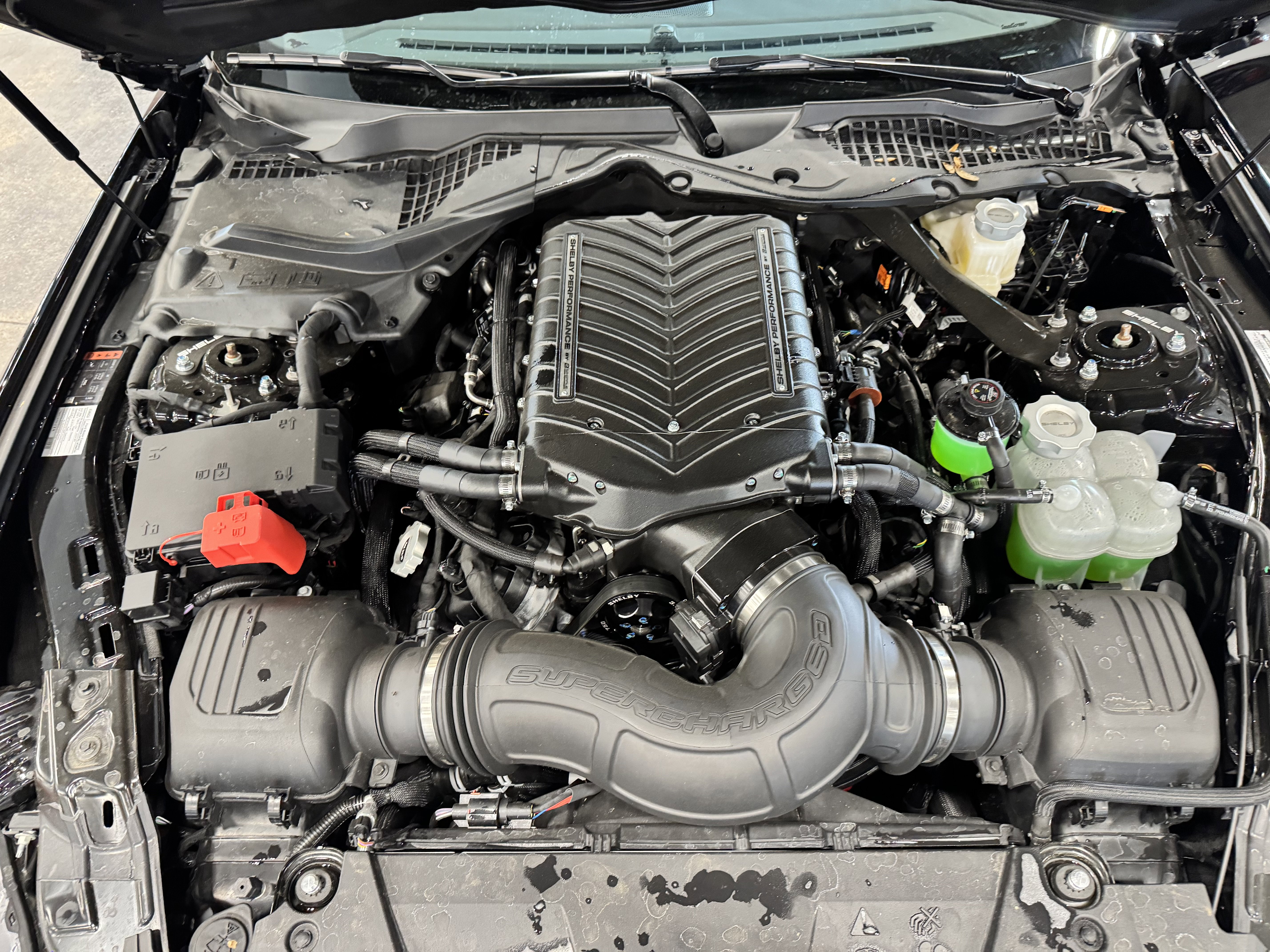 Used 2024 Ford Mustang GT Premium w/ GT Performance Package image 16