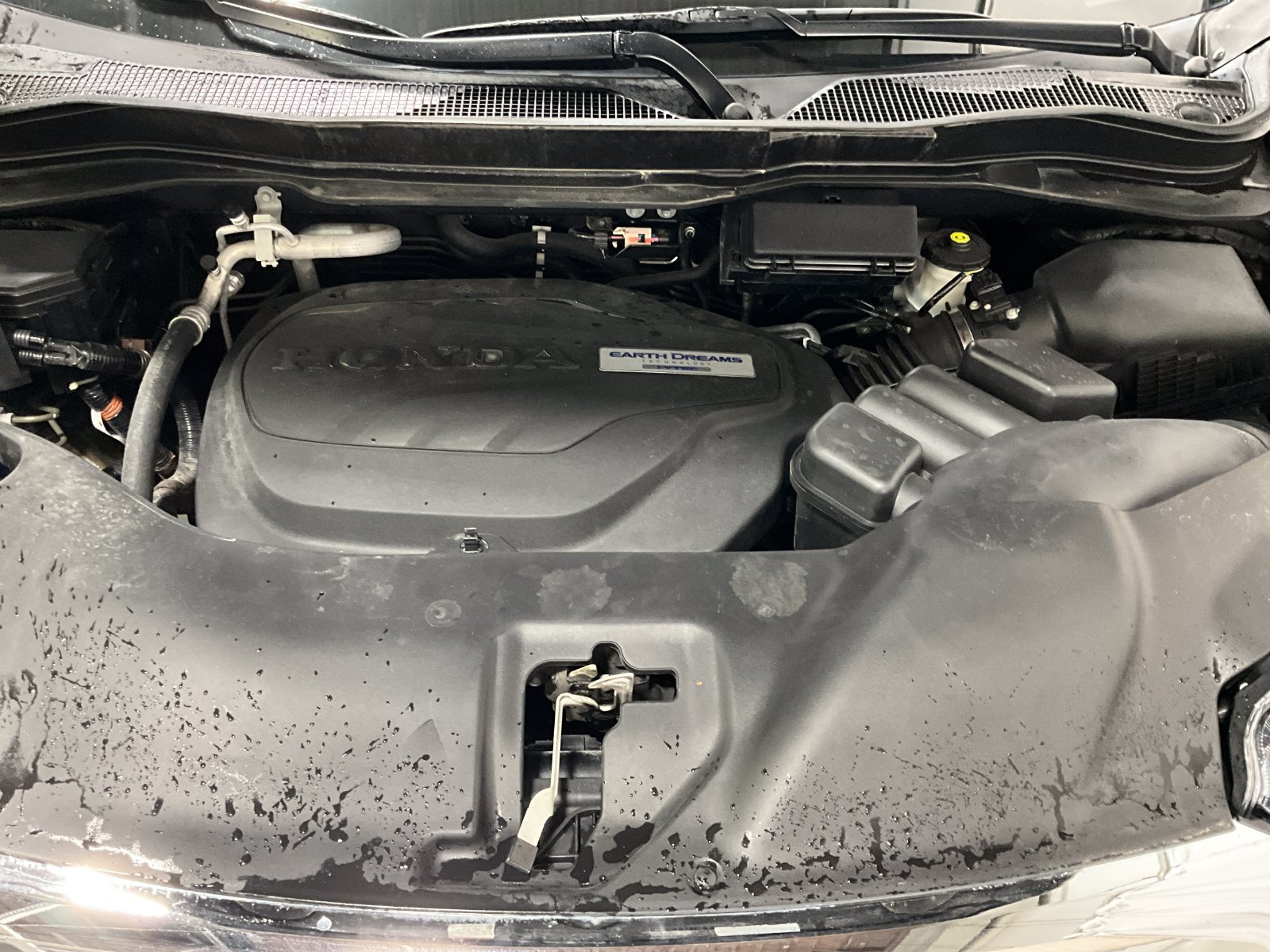 Used 2019 Honda Pilot EX-L image 12