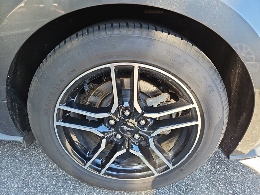 Used 2019 Ford Mustang GT RWD image 28