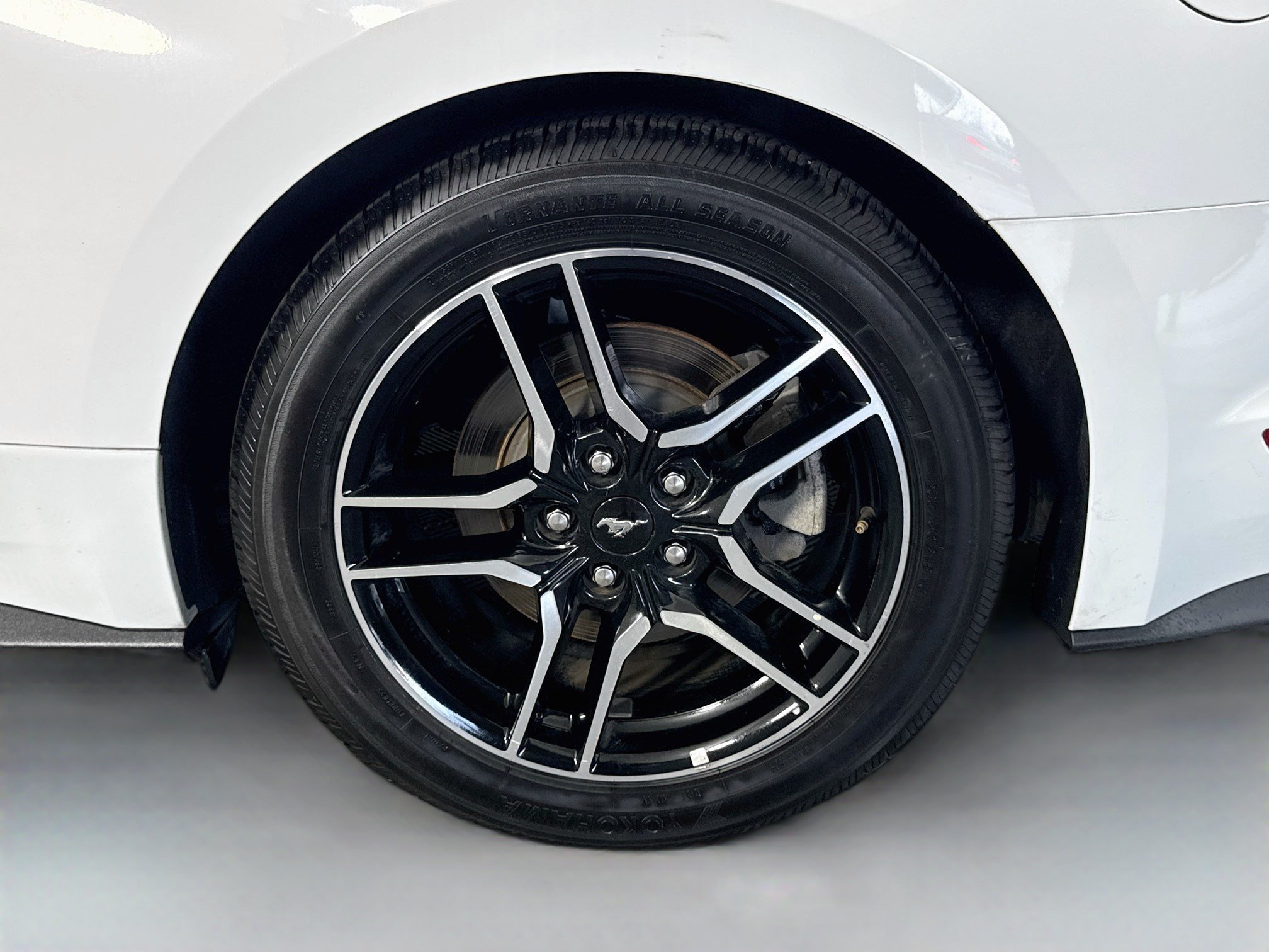 Used 2019 Ford Mustang Premium RWD image 35