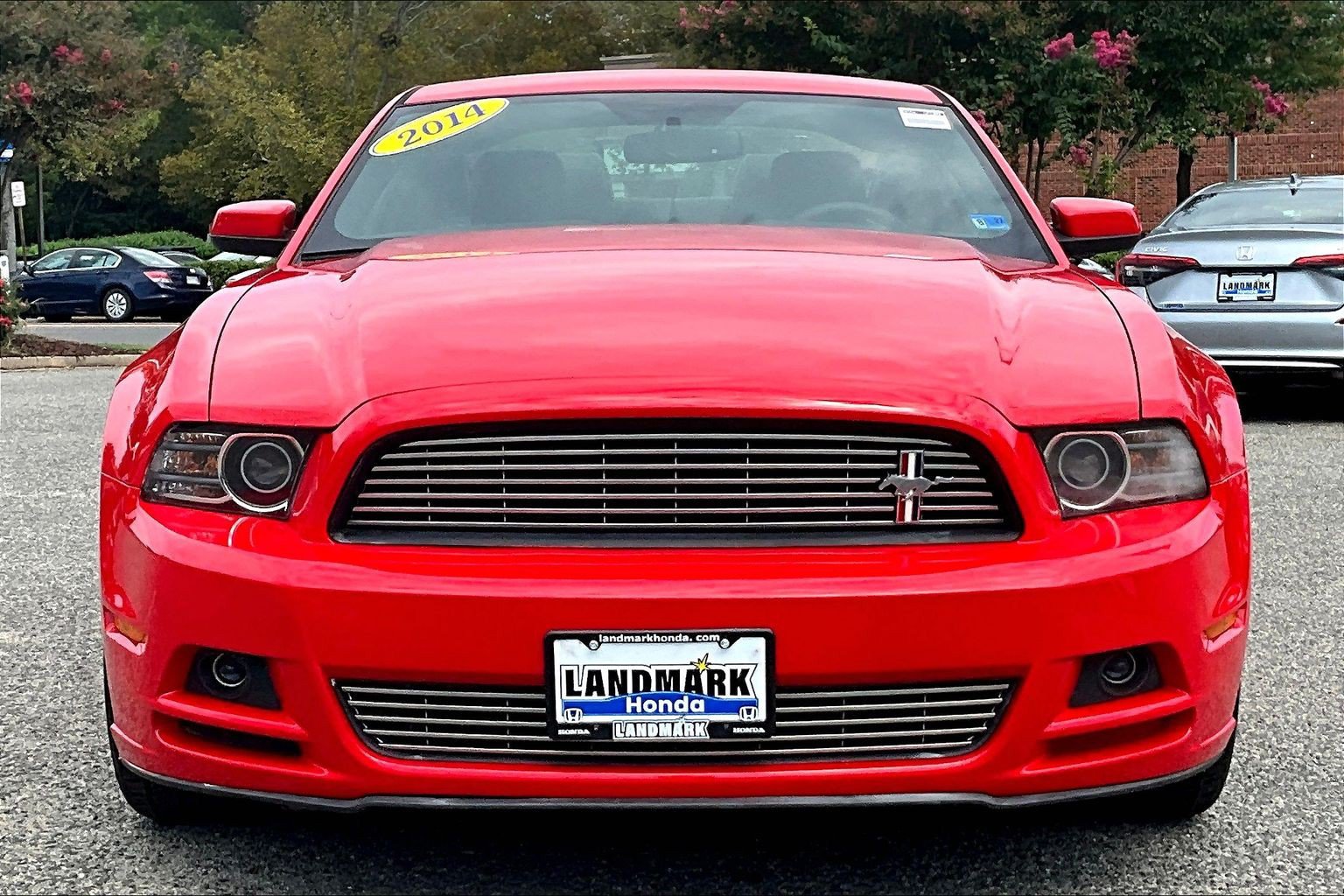 Used 2014 Ford Mustang Premium w/ Equipment Group 203A RWD image 3