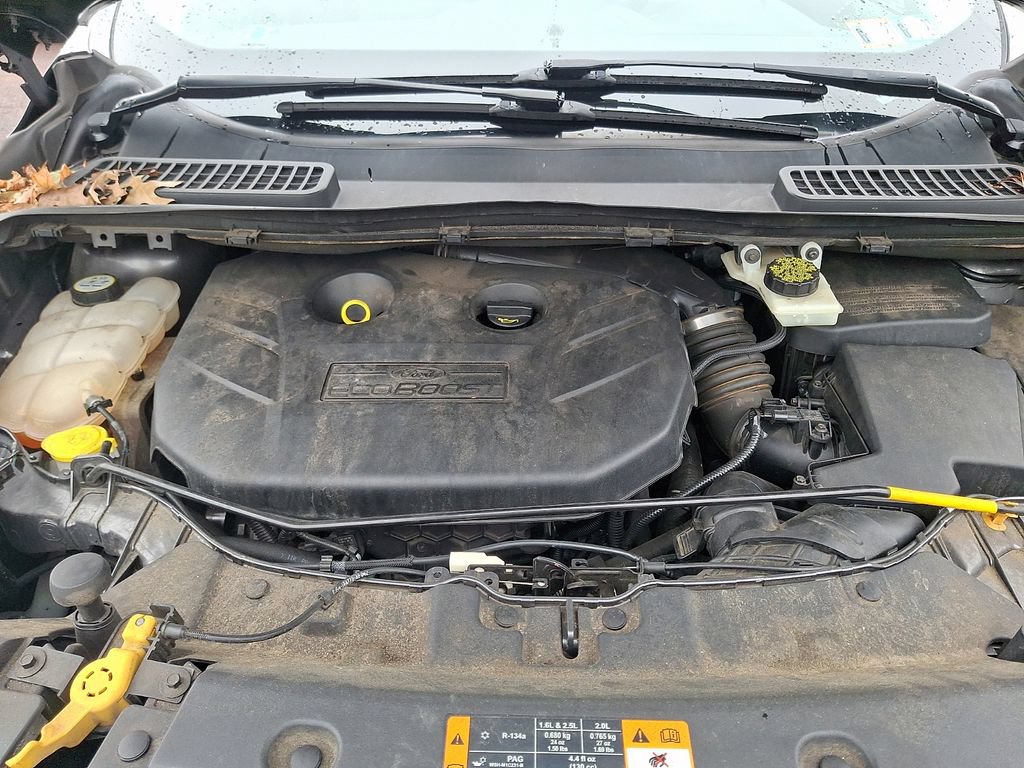 Used 2013 Ford Escape SE AWD/4WD image 25