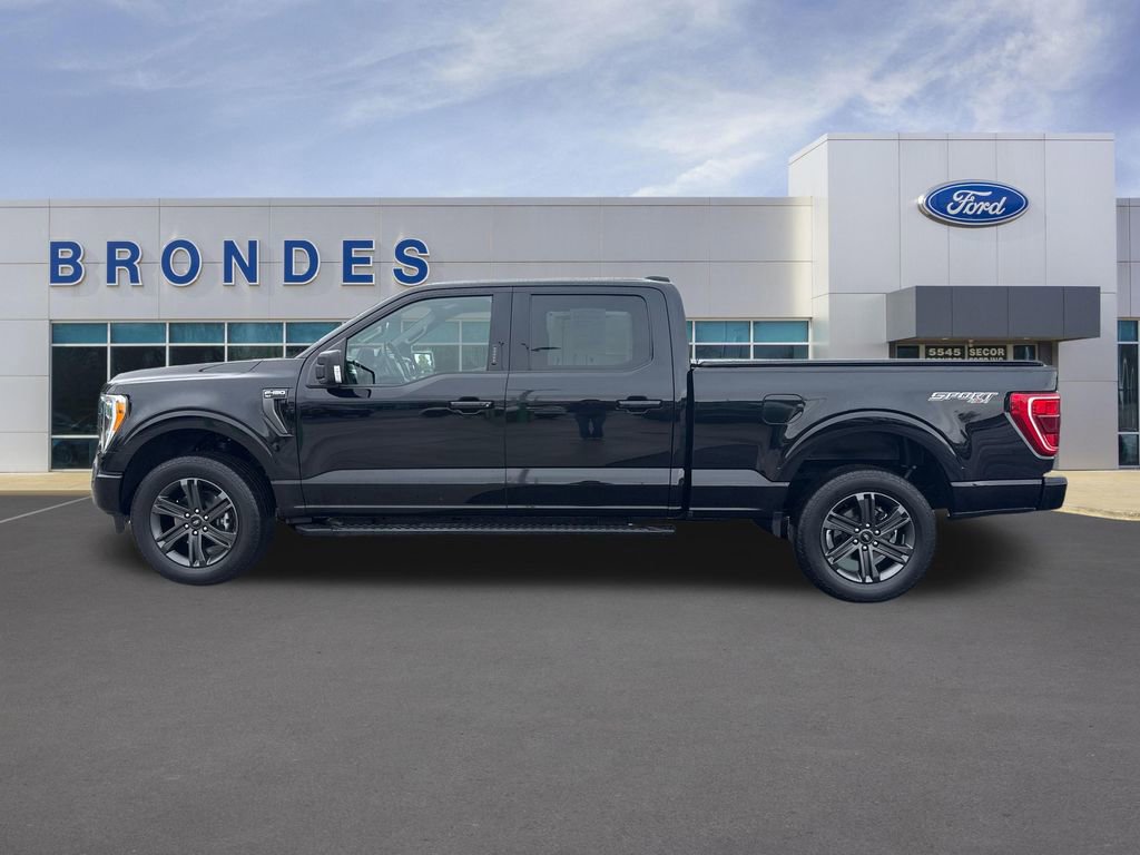 Used 2023 Ford F150 XLT w/ Equipment Group 302A High