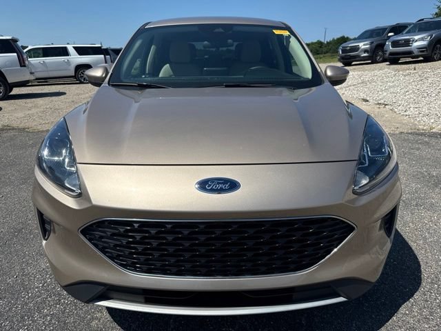 Used 2020 Ford Escape SE AWD/4WD image 2