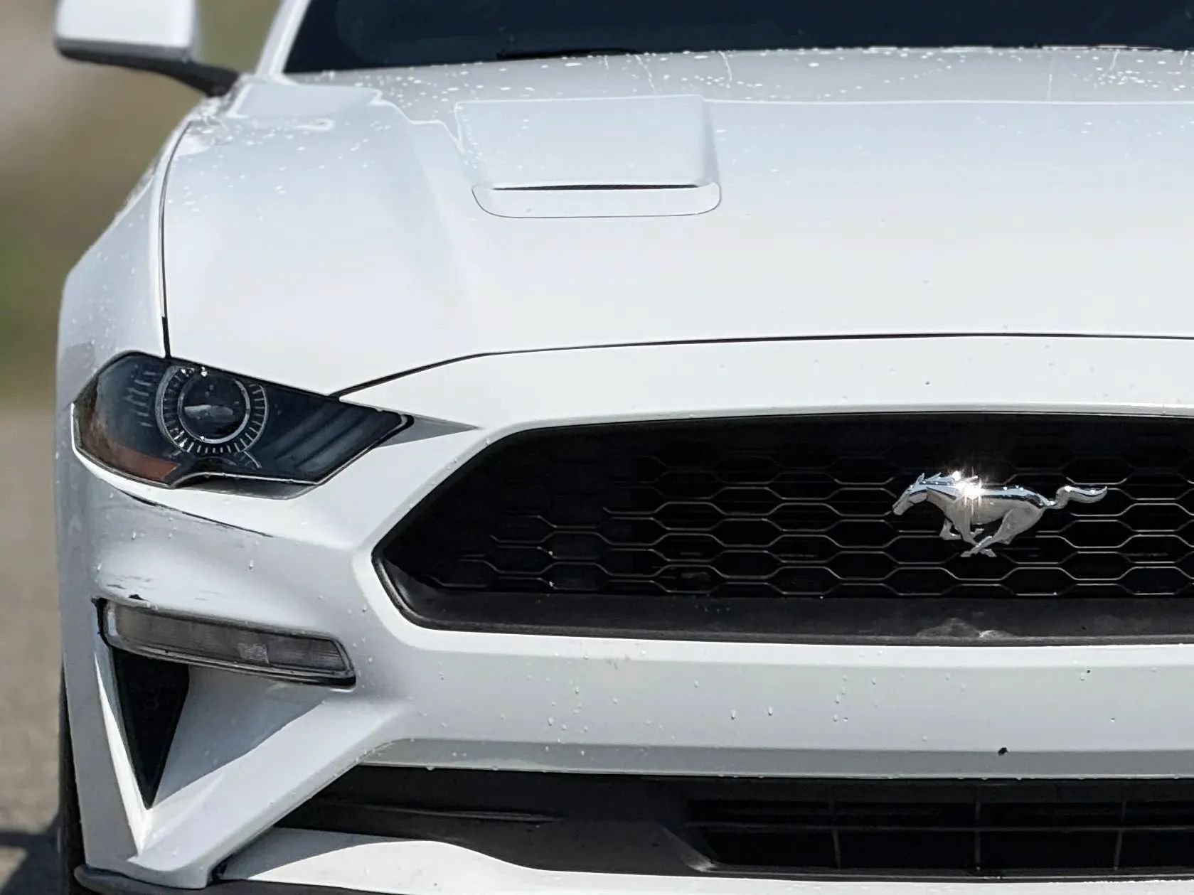 Used 2023 Ford Mustang Premium RWD image 11