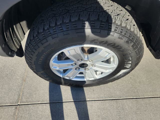 Used 2024 Ford Ranger XL RWD image 28