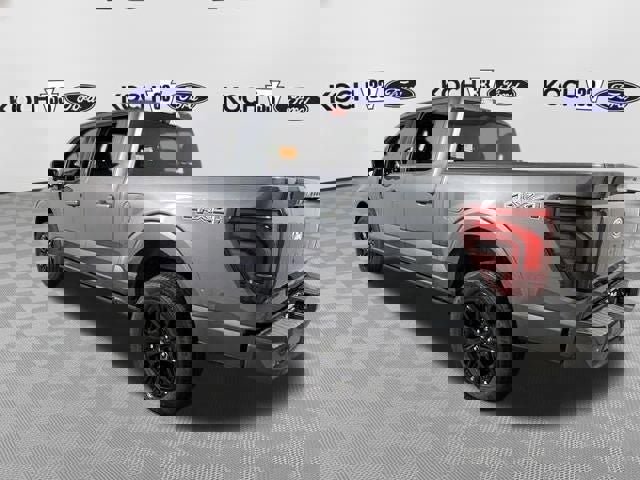 New 2026 Ford F150 Platinum w/ Equipment Group 702A High image 6