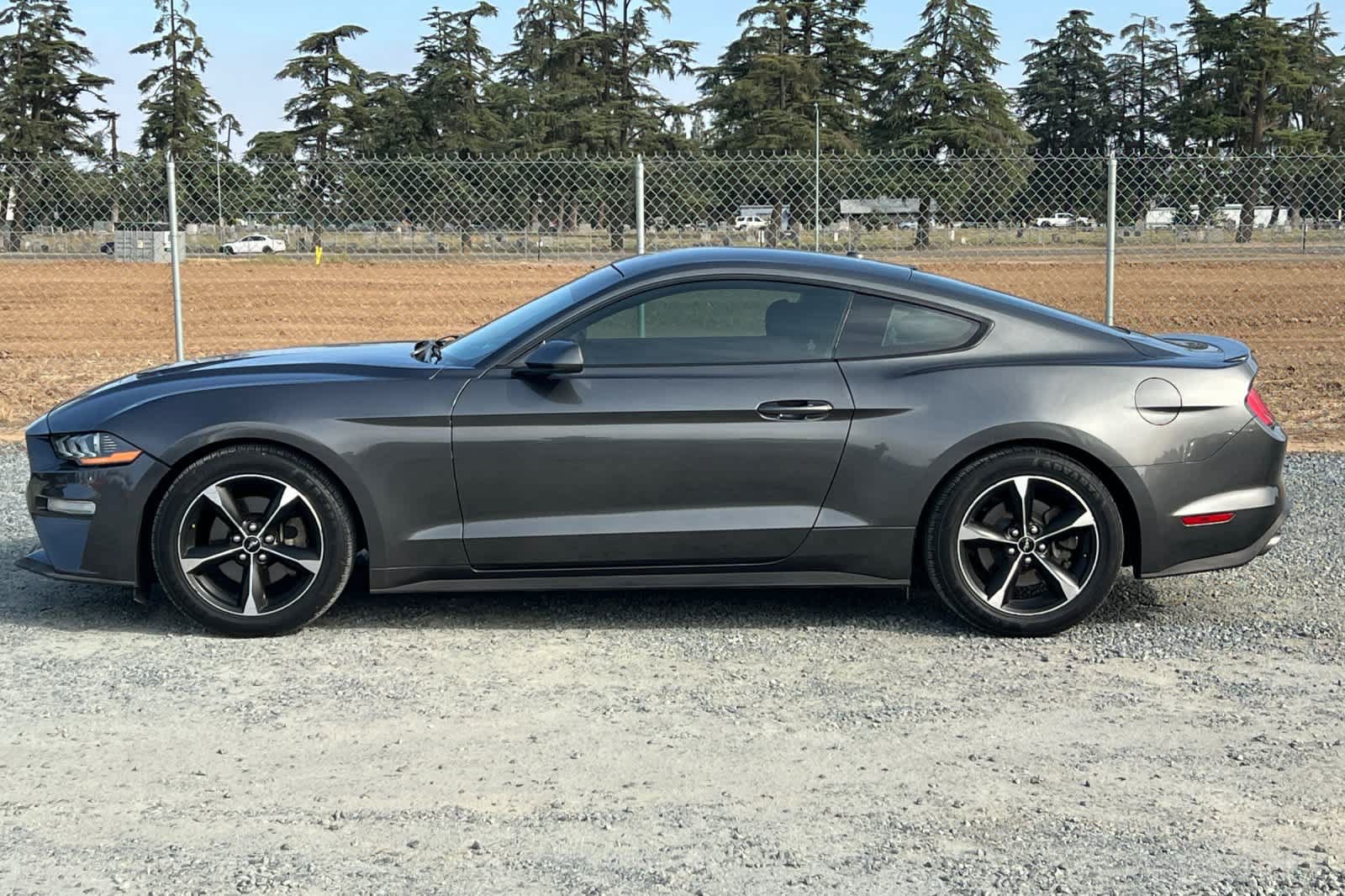 Used 2018 Ford Mustang Coupe w/ Equipment Group 101A RWD image 4