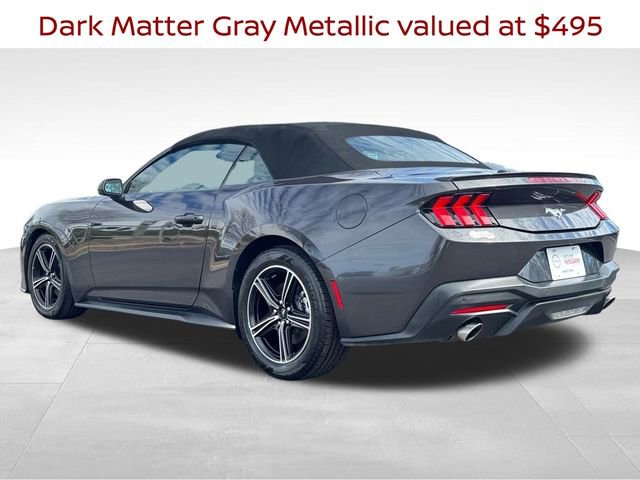 Used 2024 Ford Mustang Premium image 5