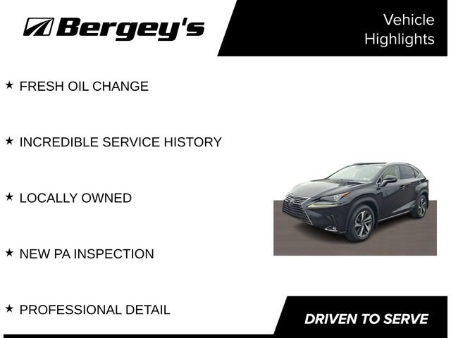 Used 2020 Lexus NX 300h AWD w/ Premium Package image 4