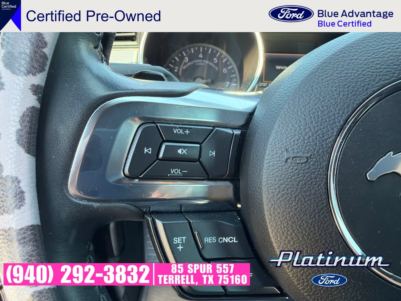 Used 2022 Ford Mustang GT w/ Equipment Group 301A RWD image 11