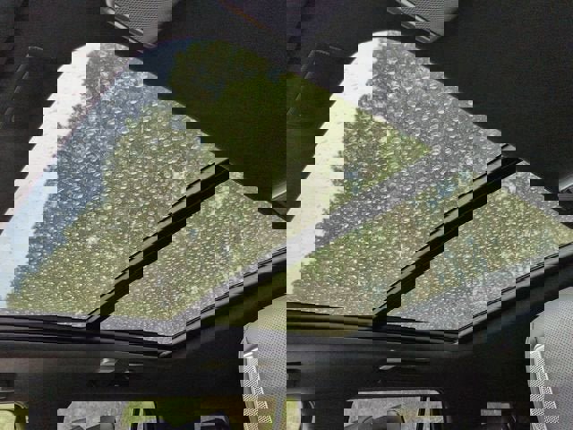 New 2026 Cadillac Escalade Platinum Sport image 19