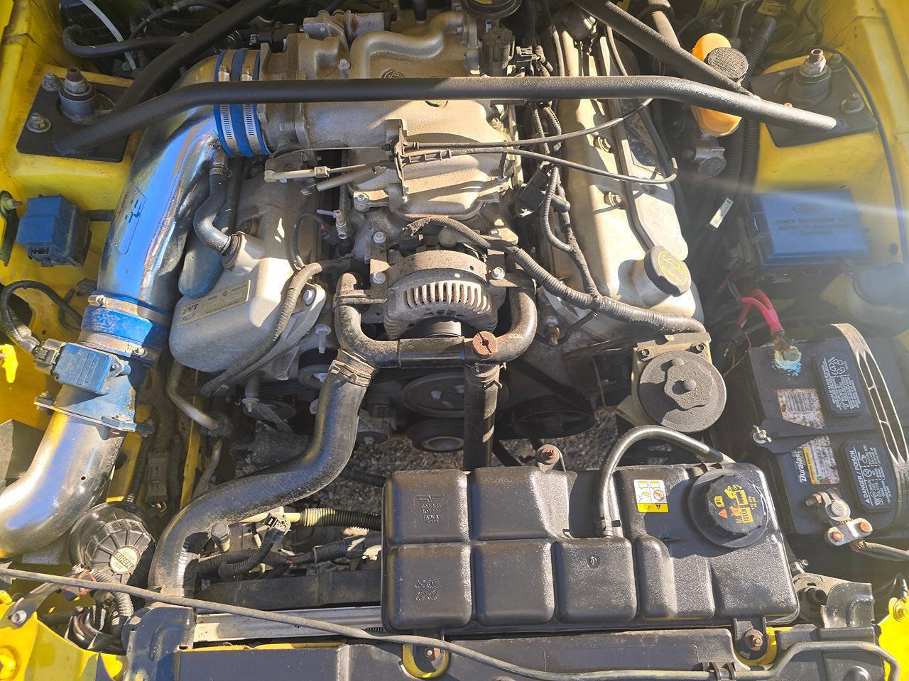 Used 2001 Ford Mustang Cobra RWD image 47