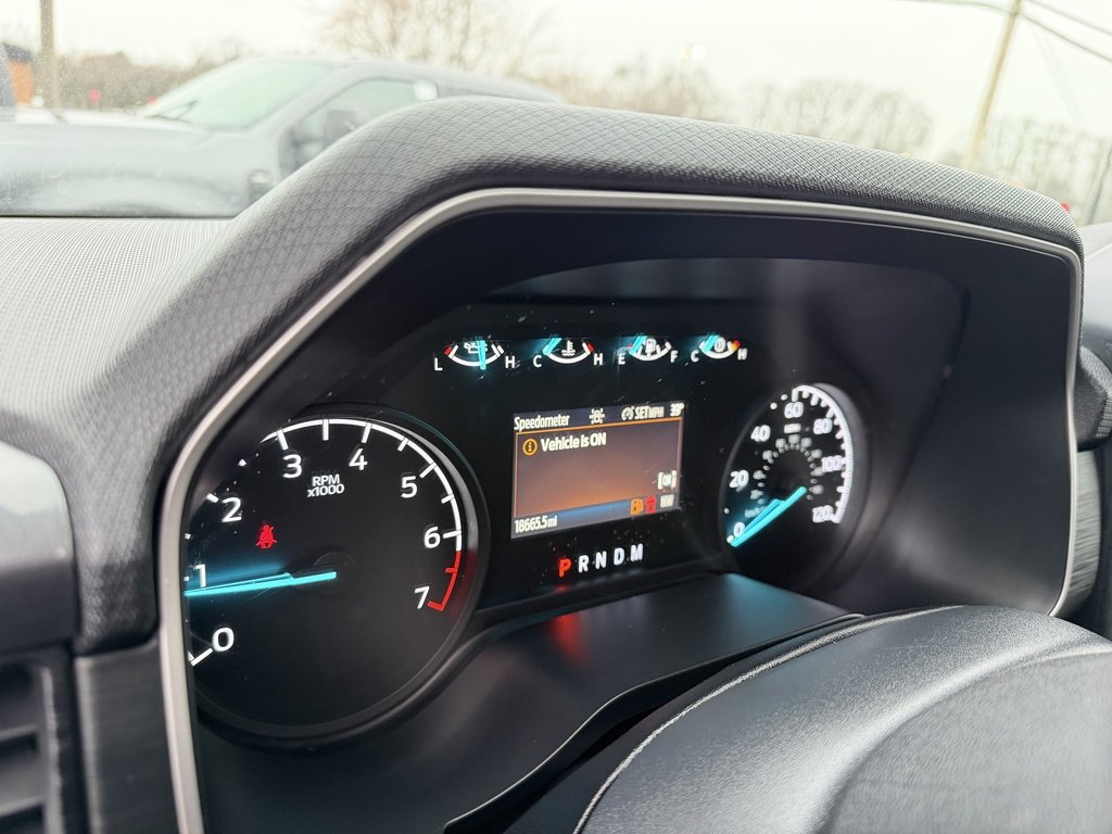 Certified 2023 Ford F150 XL w/ STX Appearance Package image 14