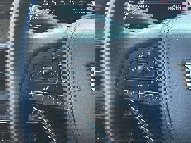 Used 2022 Cadillac Escalade Premium Luxury Platinum image 14