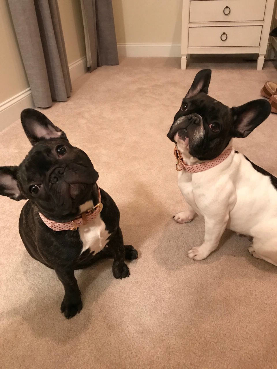 Used 2020 Hyundai Tucson SE image 36