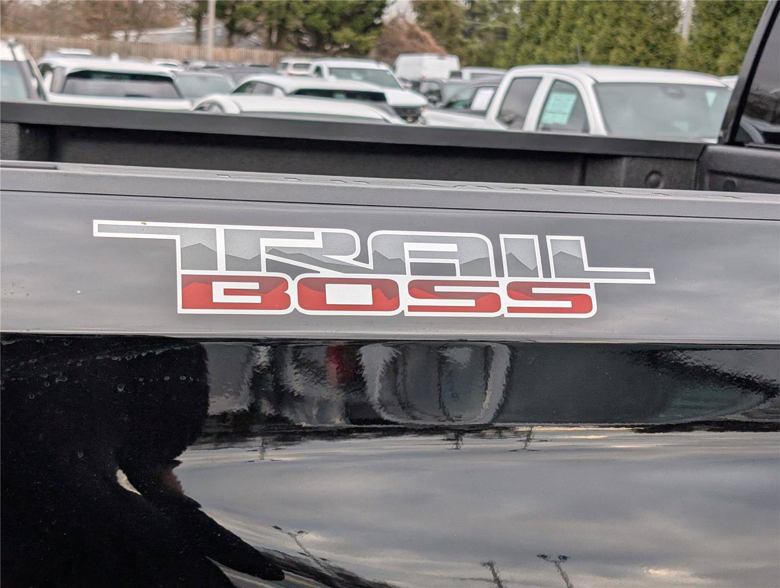 New 2026 Chevrolet Silverado 1500 Custom Trail Boss w/ Turbomax Blackout Package AWD/4WD image 6
